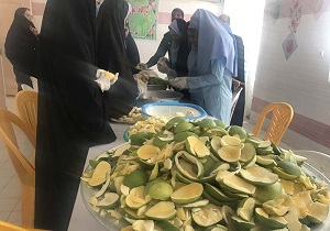 کارگاه آموزشی تولید ترشی انبه در نیکشهر