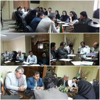 ایجاد دو لاگون در تالاب بین المللی کانی برازان مهاباد
