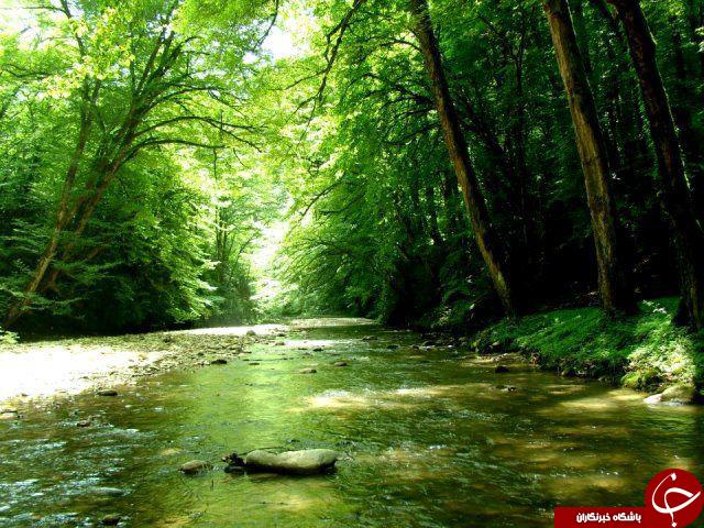 چشم&zwnj;اندازی از طبیعت زیبای پلنگ دره در سوادکوه + تصاویر