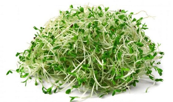 نرخ مصوب جوانه ماش در بازار چقدر است؟