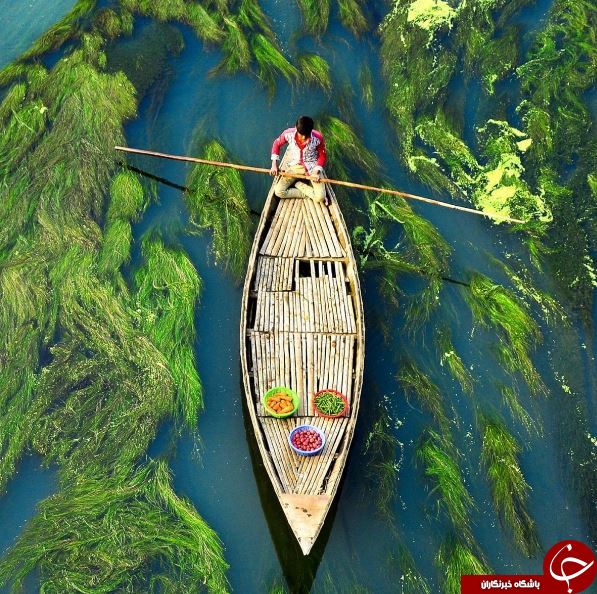 تصاویر روز: