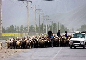 همزمان با آغاز کوچ بهاره عشایر ساماندهی می شوند