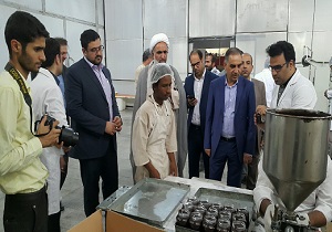 بازدید از واحدهای نیمه تعطیل شهرک صنعتی آبادان