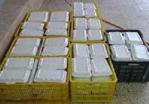 توزیع 700 غذای گرم بین مددجویان بهزیستی بیرجند