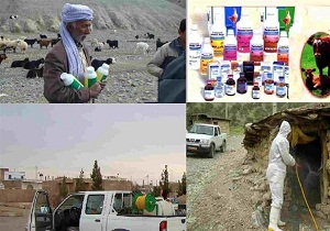 توزیع سموم رایگان بین دامداران بشرویه