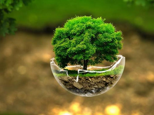 لزوم تلاش انسان&zwnj;ها برای حفظ محیط زیست و طبیعت