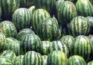 کاهش صادرات از مرز شلمچه