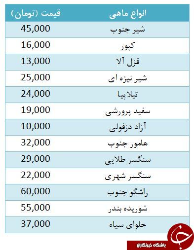 هر کیلو شیر جنوب در بازار چقدر به فروش می&zwnj;رسد؟