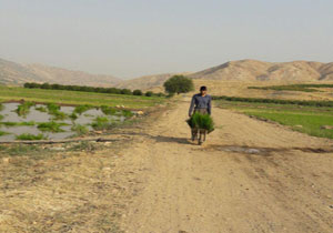 تصاویری از وضعیت اسفناک جاده در روستای رودبار