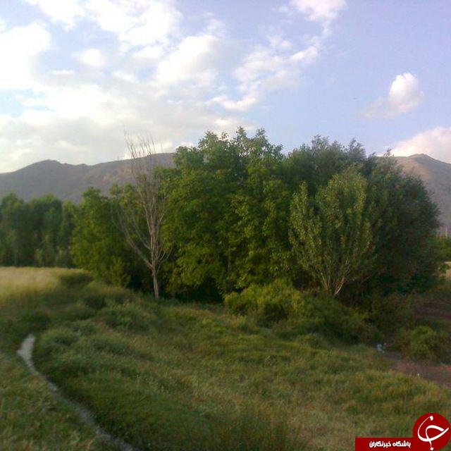گوشه&zwnj;ای از طبیعت بهاری در روستای اصلانشاه + تصاویر