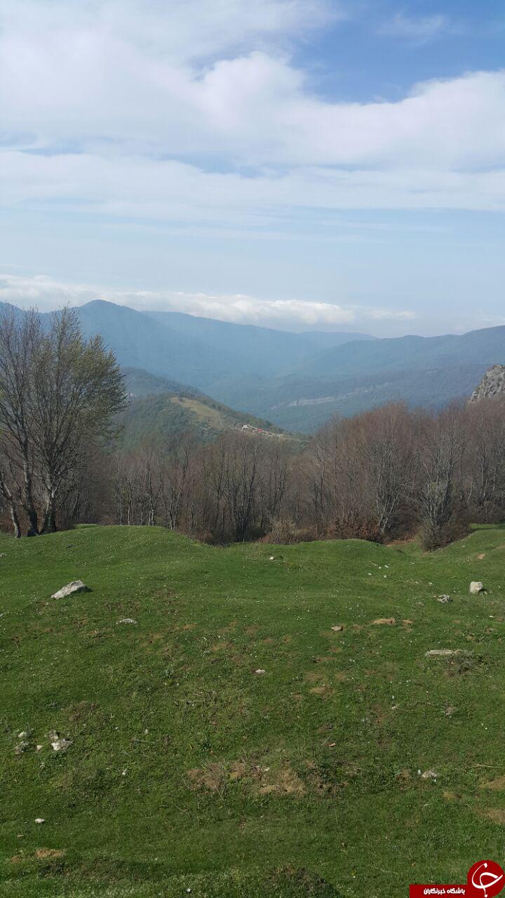 از تماشای طبیعت زیبای دیلمان لذت ببرید + تصاویر