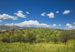 تنگه شیرز- لرستان
