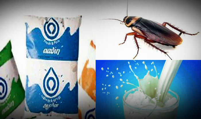 شیر سوسک چندش آورترین نوشیدنی مغذی +تصاویر