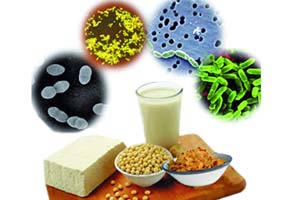 خوراکی&zwnj;هایی که منبع پروبیوتیک هستند