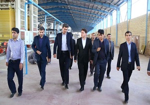 بازدیدمعاون استاندار از تعدادی واحد‌های صنعتی و تولیدی شهرستان مهریز