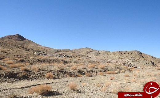 زنگ خطر نابودی مراتع در آذربایجان غربی /فضای سبز در استان توسعه می&zwnj;یابد