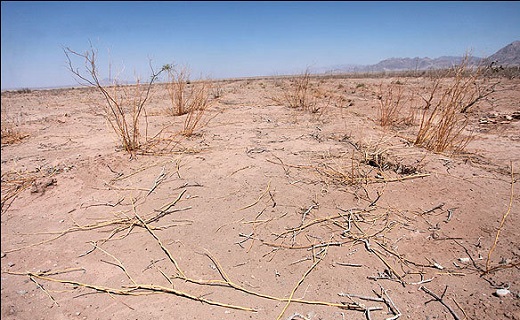 قصه تکراری بحران کم آبی در سیستان وبلوچستان