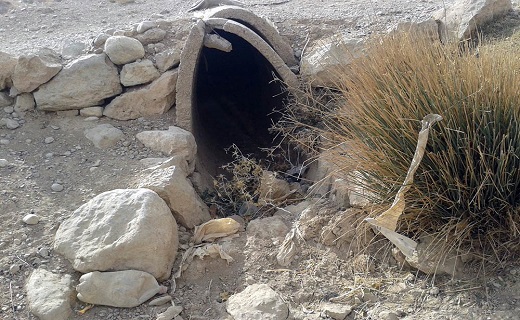 قصه تکراری بحران کم آبی در سیستان وبلوچستان