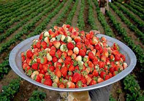 نگاهی گذرا به مهمترین رویداد&zwnj;های چهارشنبه ۹ خرداد ماه در مازندران