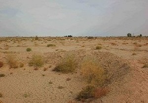 اجرای  عملیات بیابان زدایی سالانه حدود پنج هزار هکتار در استان