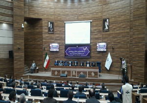 بخش سرمایه گذاری خصوصی تنها ۱۳ درصد در کشور انجام شده است