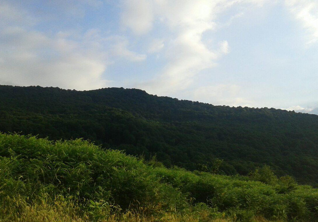 تصاویری از طبیعت جذاب در روستای دره‌دشت