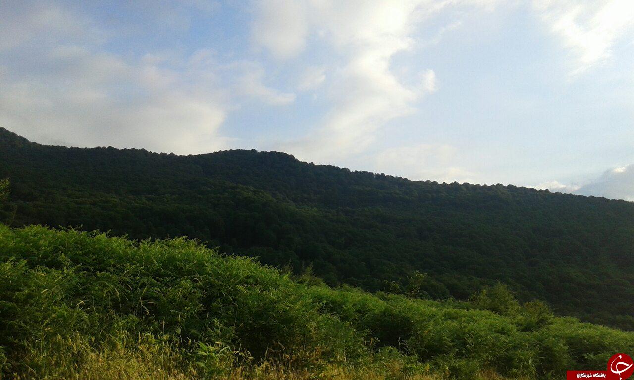 تصاویری از طبیعت جذاب در روستای دره&zwnj;دشت