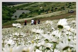 روایتی متفاوت از شگفتی‌های استان کهگیلویه و بویراحمد + فیلم