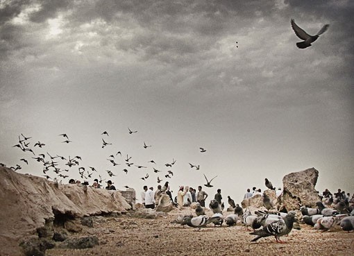 بقیع_را_می سازیم
