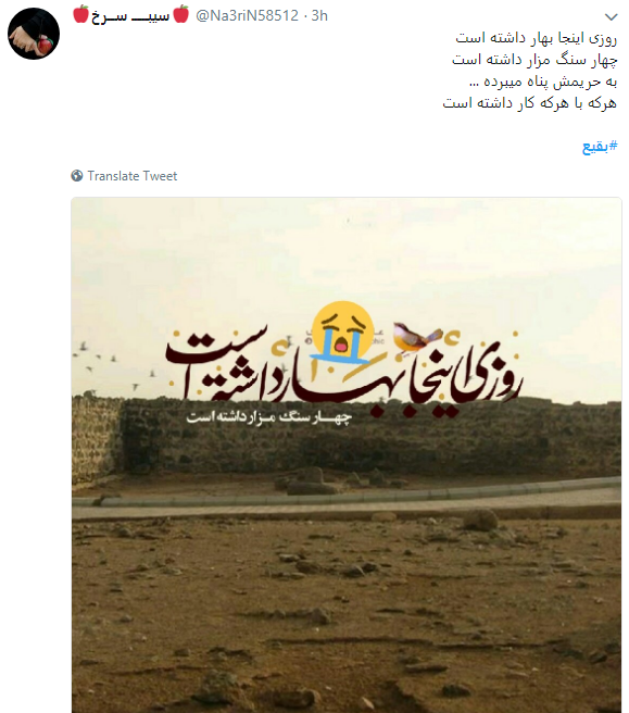 بقیع_را_می سازیم