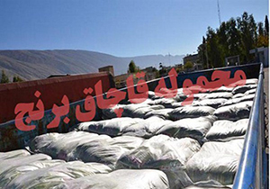 کشف 23 تن برنج قاچاق در سمیرم