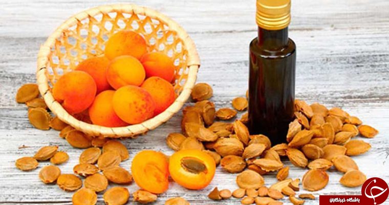 آذربایجان غربی رتبه ۳ کشوری درتولید زردآلو
