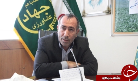 آذربایجان غربی رتبه ۳ کشوری درتولید زردآلو