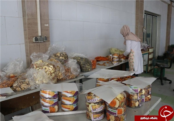 آذربایجان غربی رتبه ۳ کشوری درتولید زردآلو