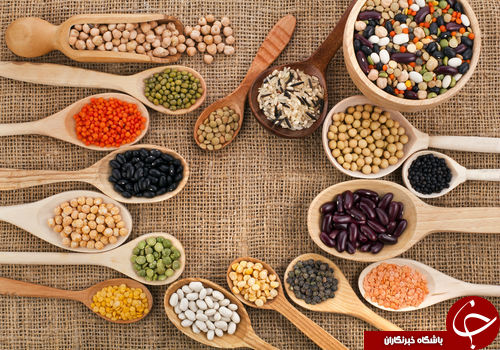 پروتئین گیاهی مصرف کنیم یا حیوانی؟