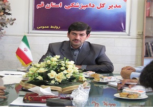 عدم مشاهده بیماری آنفولانزای مرغی در بین واحدهای مرغداری قم