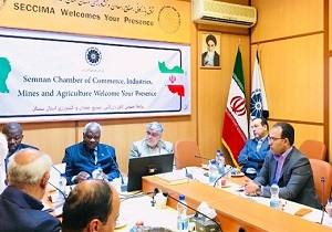 رایزنی برای تشکیل کمیسیون اقتصادی ایران و ساحل عاج