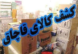 تشکیل ۲۳ پرونده قاچاق کالا در استان فارس