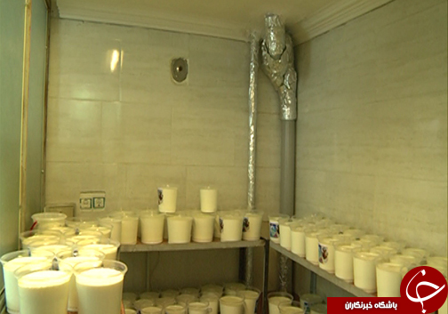 مصرف لبنیات سنتی و خطر ابتلا به بیماری / آیا استفاده از لبنیات سنتی غیر پاستوریزه عامل بیماری است؟
