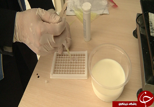 مصرف لبنیات سنتی و خطر ابتلا به بیماری / آیا استفاده از لبنیات سنتی غیر پاستوریزه عامل بیماری است؟