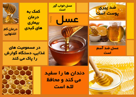 آذربایجان غربی رتبه نخست کشور در تولید عسل