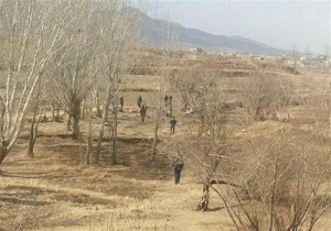تپه پیسا ساماندهی می شود
