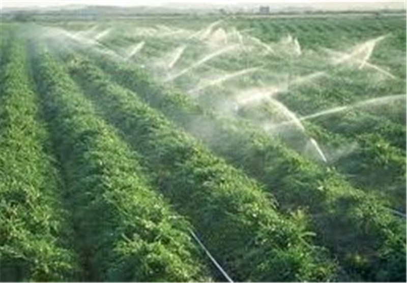 تخصیص ۱۳۵ میلیارد تومان اعتبار برای اجرای سیستم آبیاری