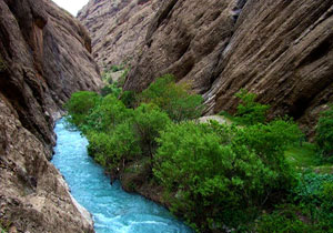دره "نی گا" منطقه زیبا و بکر در لرستان + فیلم