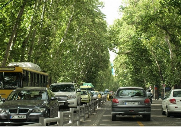 احیای درختان خیابان ولی عصر(عج) با اصلاح شبکه آب رسانی