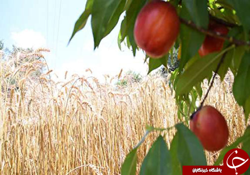 نگاهی گذرا به مهمترین رویداد&zwnj;های دوشنبه ۱۱ تیرماه در مازندران