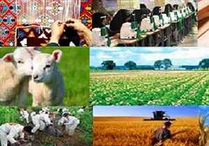 معرفی بیش از هزار طرح اشتغال روستایی فارس به بانک