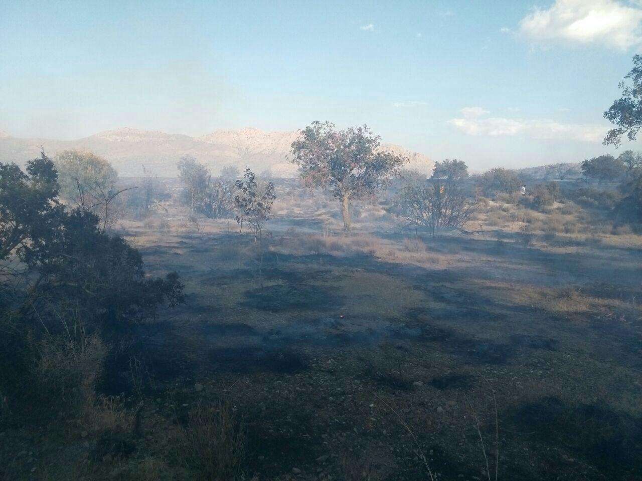 مهار آتش سوزی پارک ملی گلستان / سوختن ۱۳۰ هکتار از جنگل و مراتع