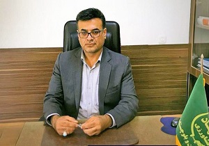 واردات ۱۰ هزار دام سنگین به سیستان و بلوچستان