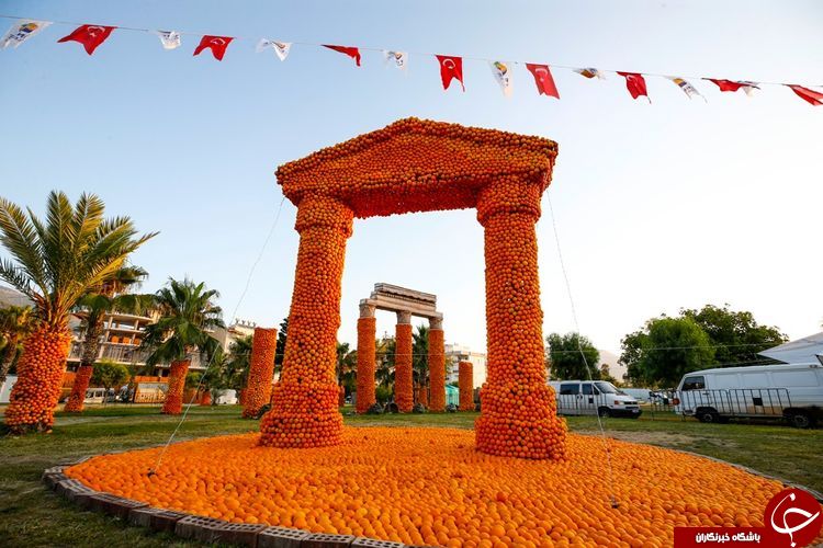 جشنواره مجسمه های ساخته شده با پرتقال و لیمو